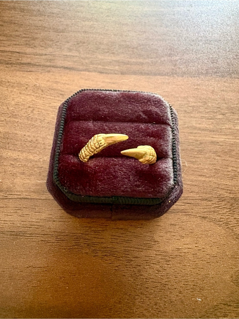 Brass Claw Open Ring - Women Accessories